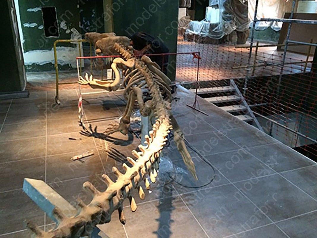 Emaar Square Akvaryum 3D Timsah İskelet Modeli