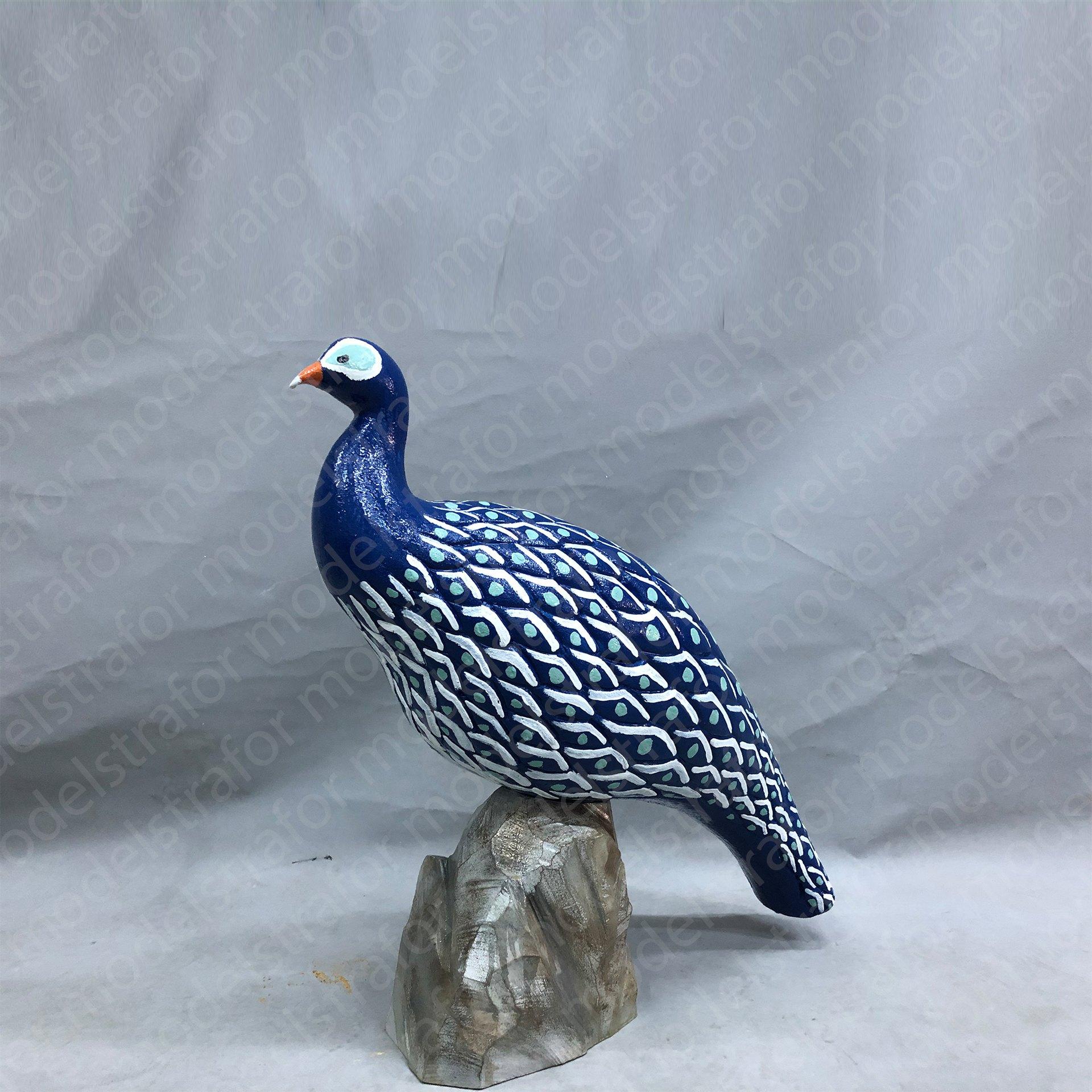 3D Tavus Kuşu Çalışması