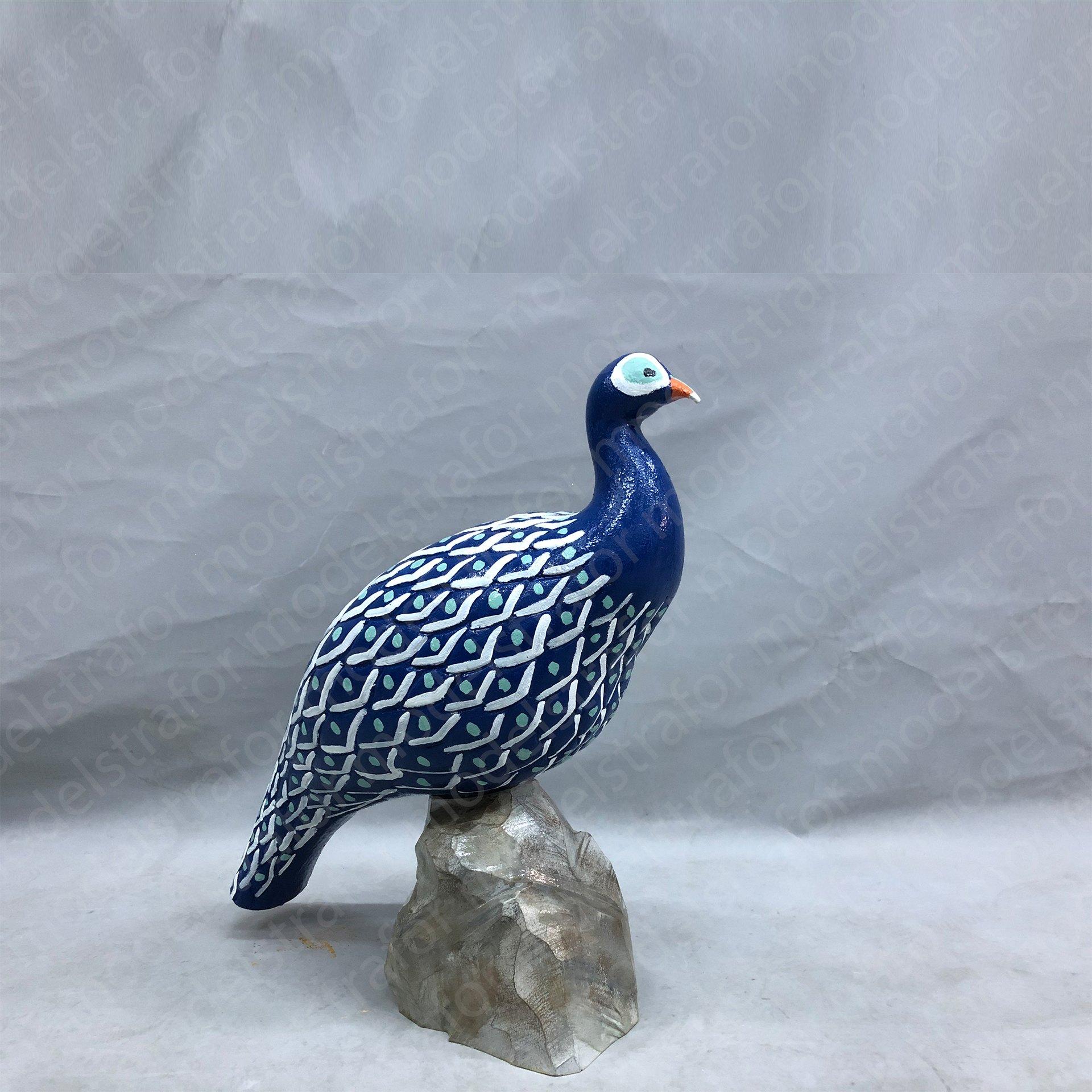 3D Tavus Kuşu Çalışması