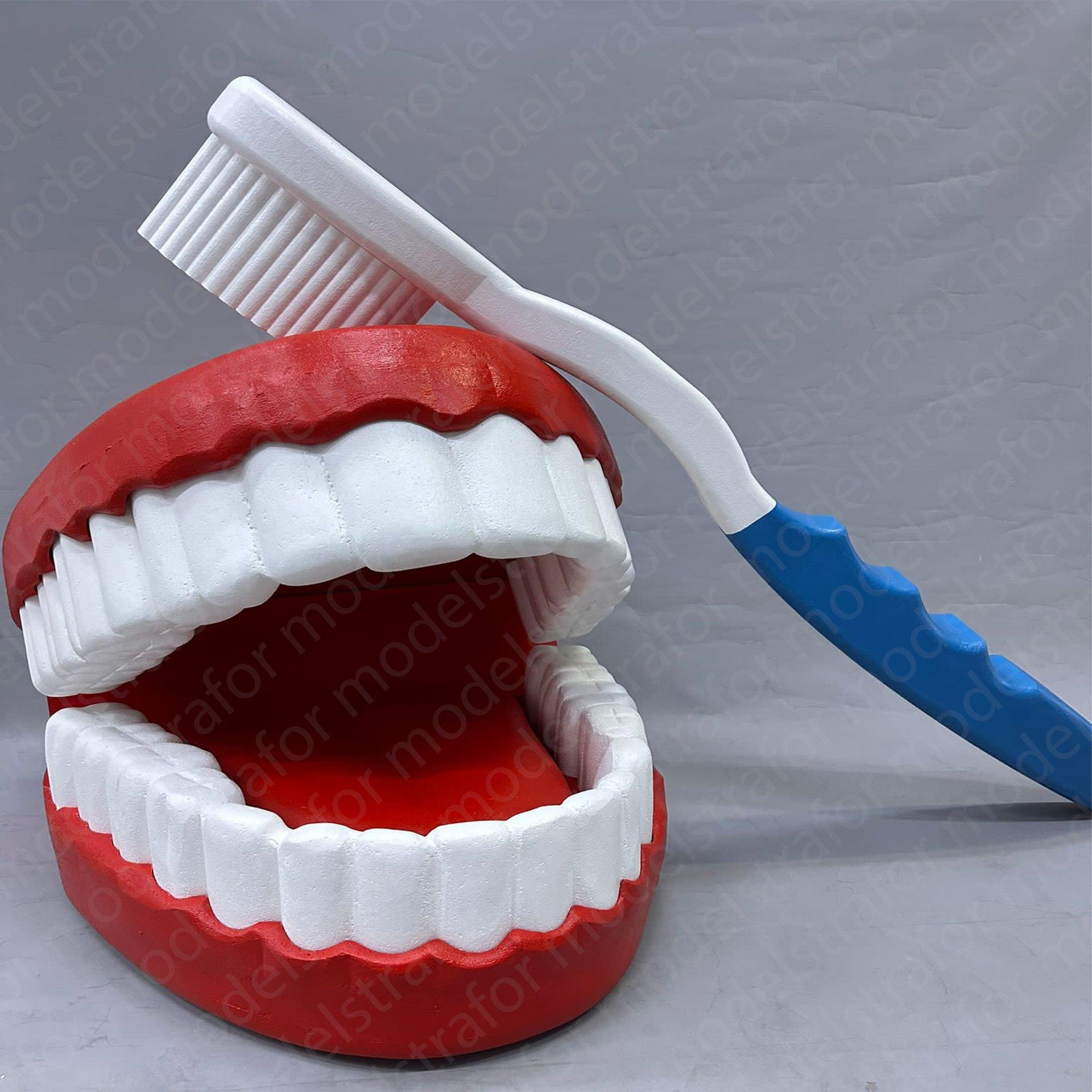 Strafor 3d Ağız Diş ve Diş Fırçası modeli