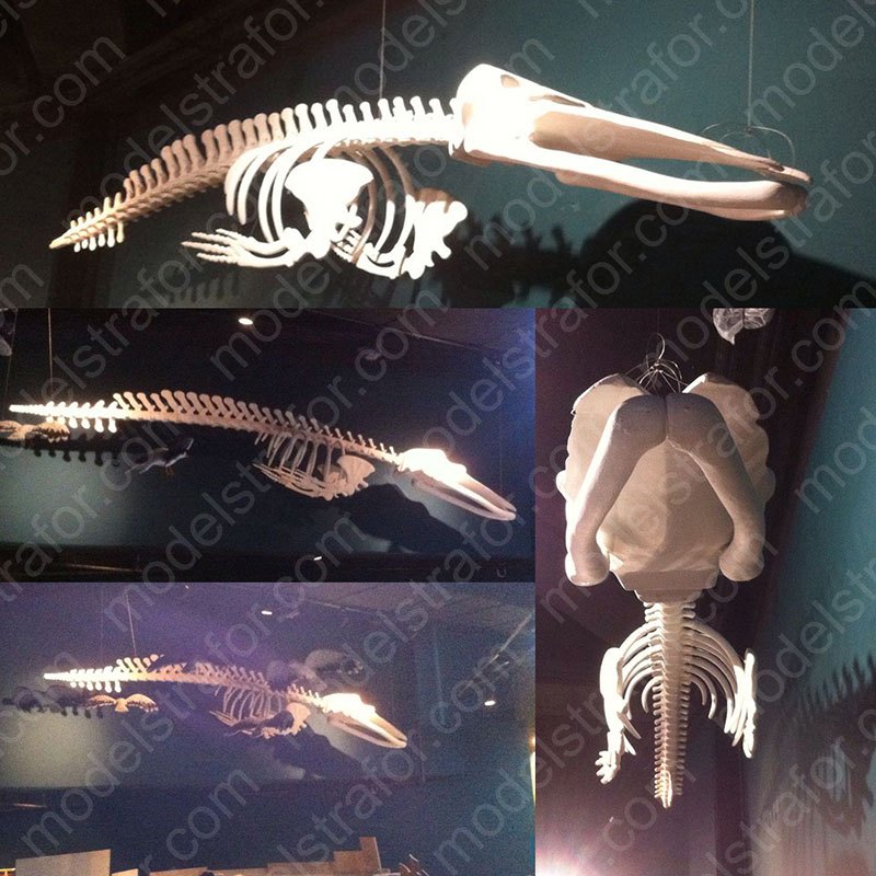 600 cm Strafor Balina İskeleti Çalışması