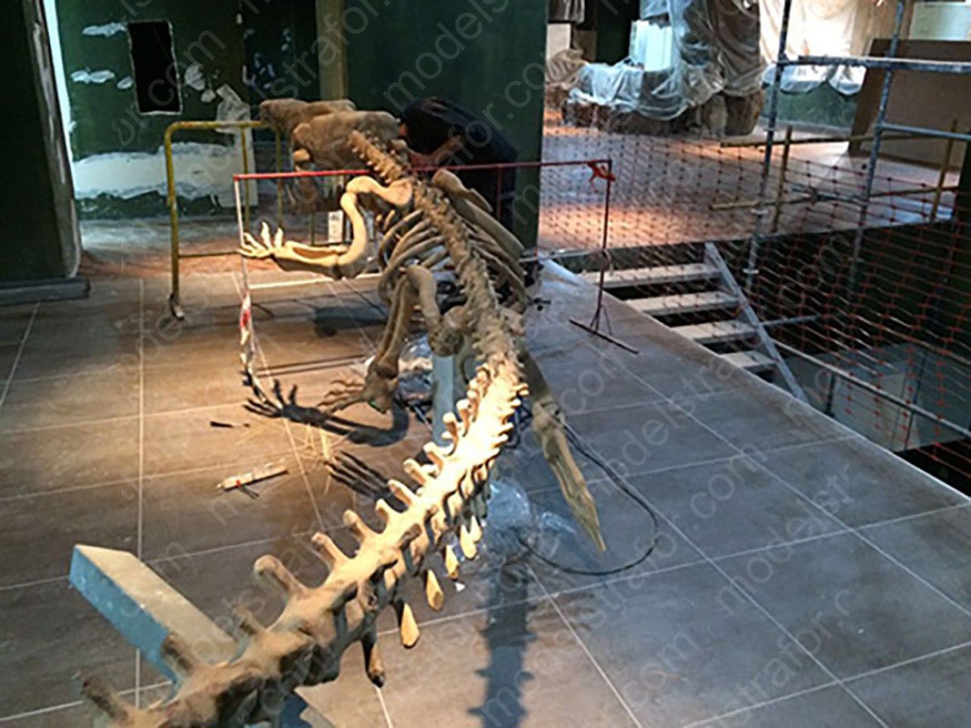 Emaar Square Akvaryum 3D Timsah İskelet Modeli