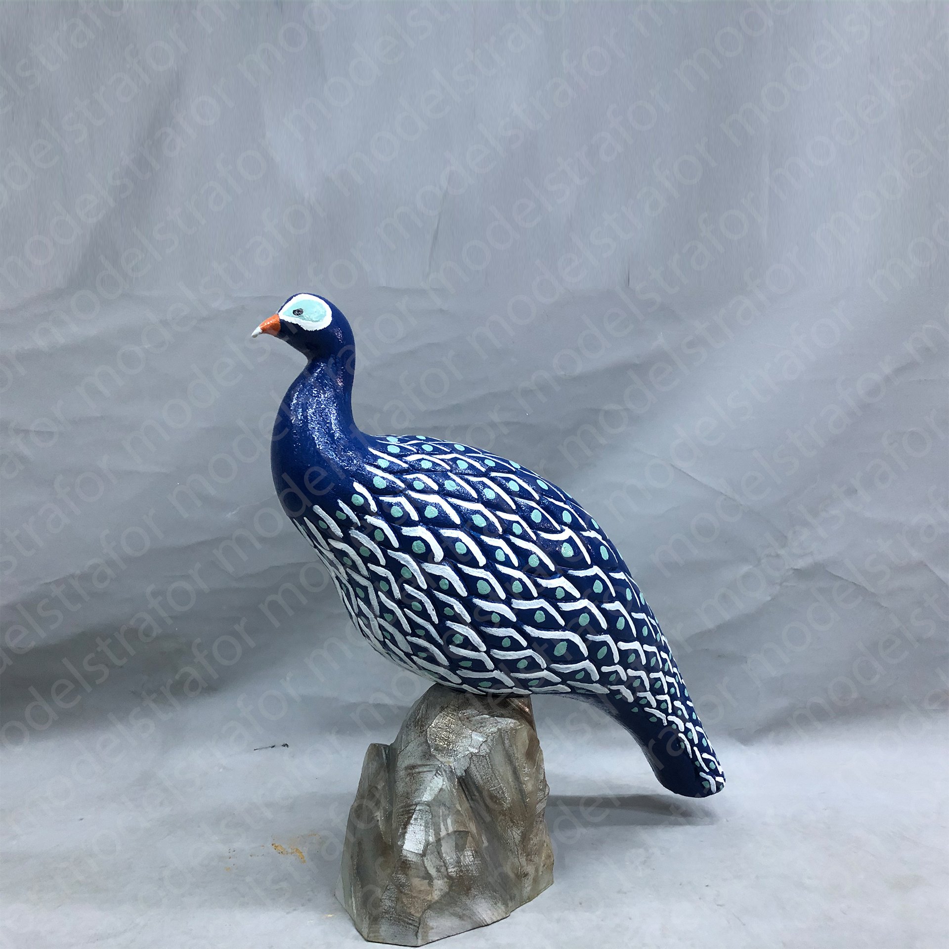 3D Tavus Kuşu Çalışması