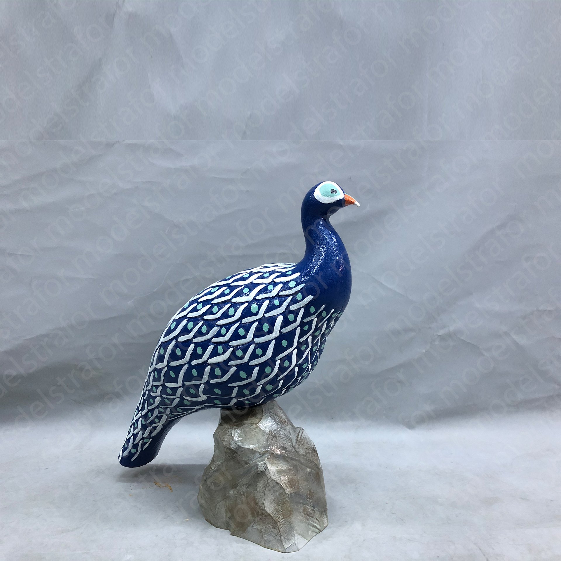 3D Tavus Kuşu Çalışması