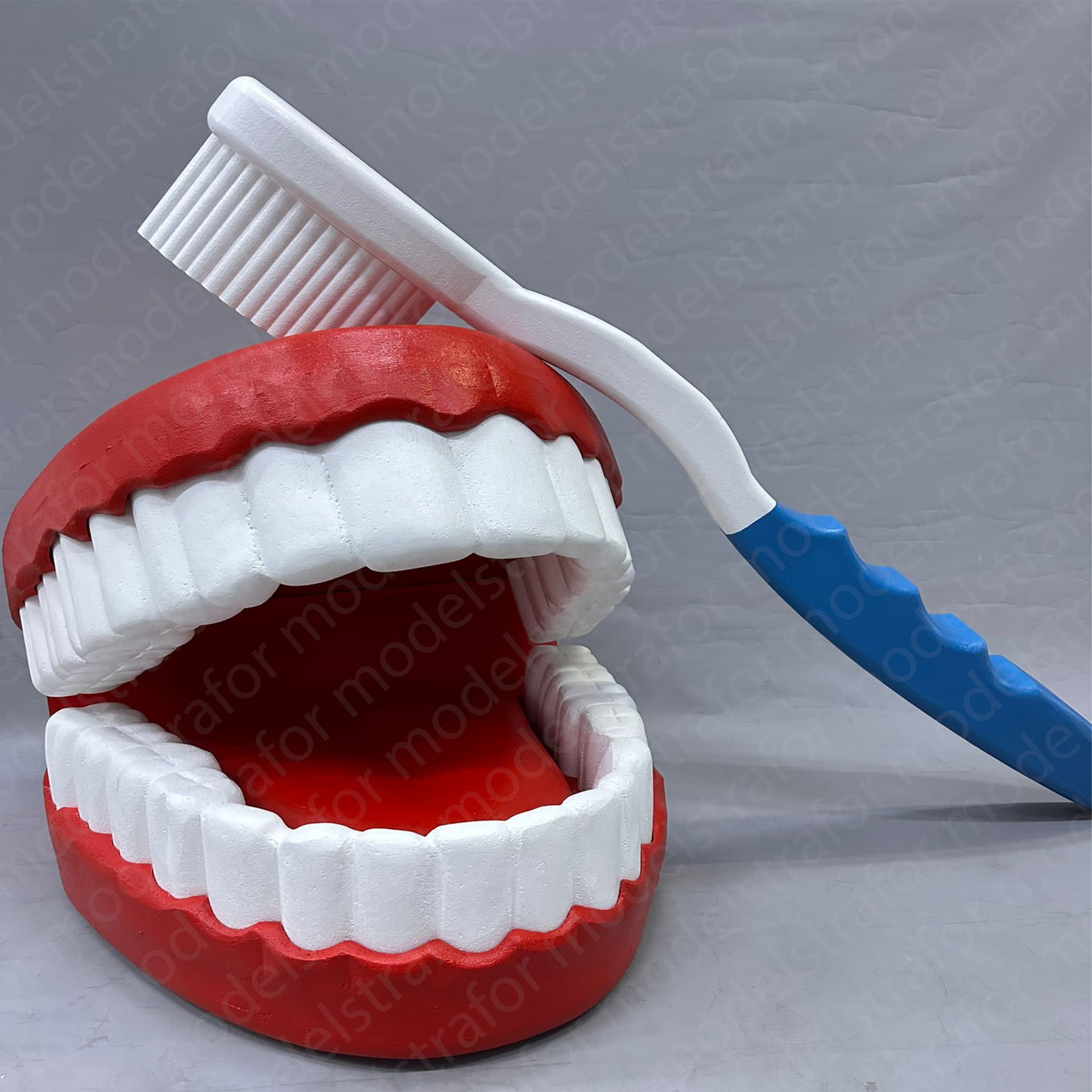 Strafor 3d Ağız Diş ve Diş Fırçası modeli