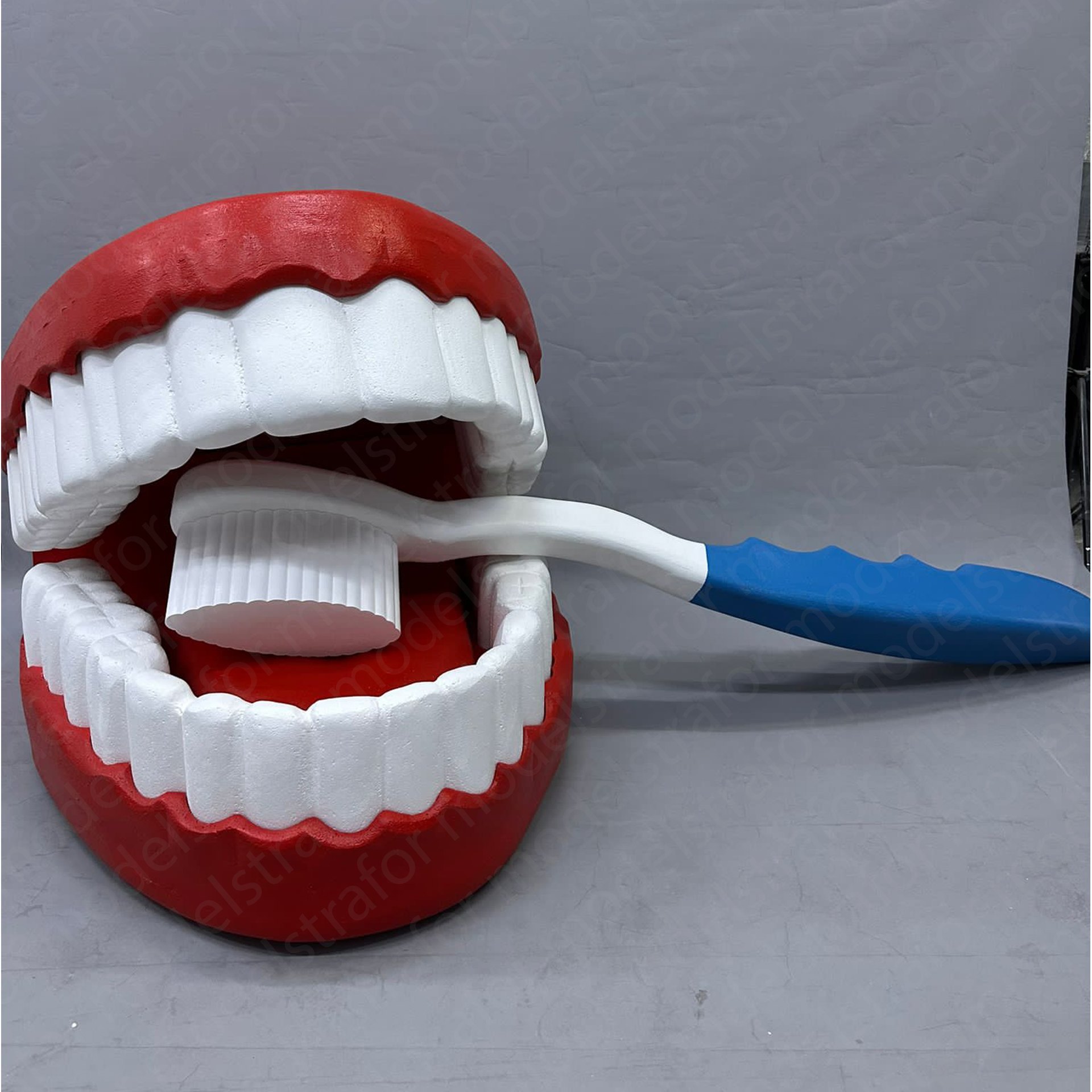 Strafor 3d Ağız Diş ve Diş Fırçası modeli