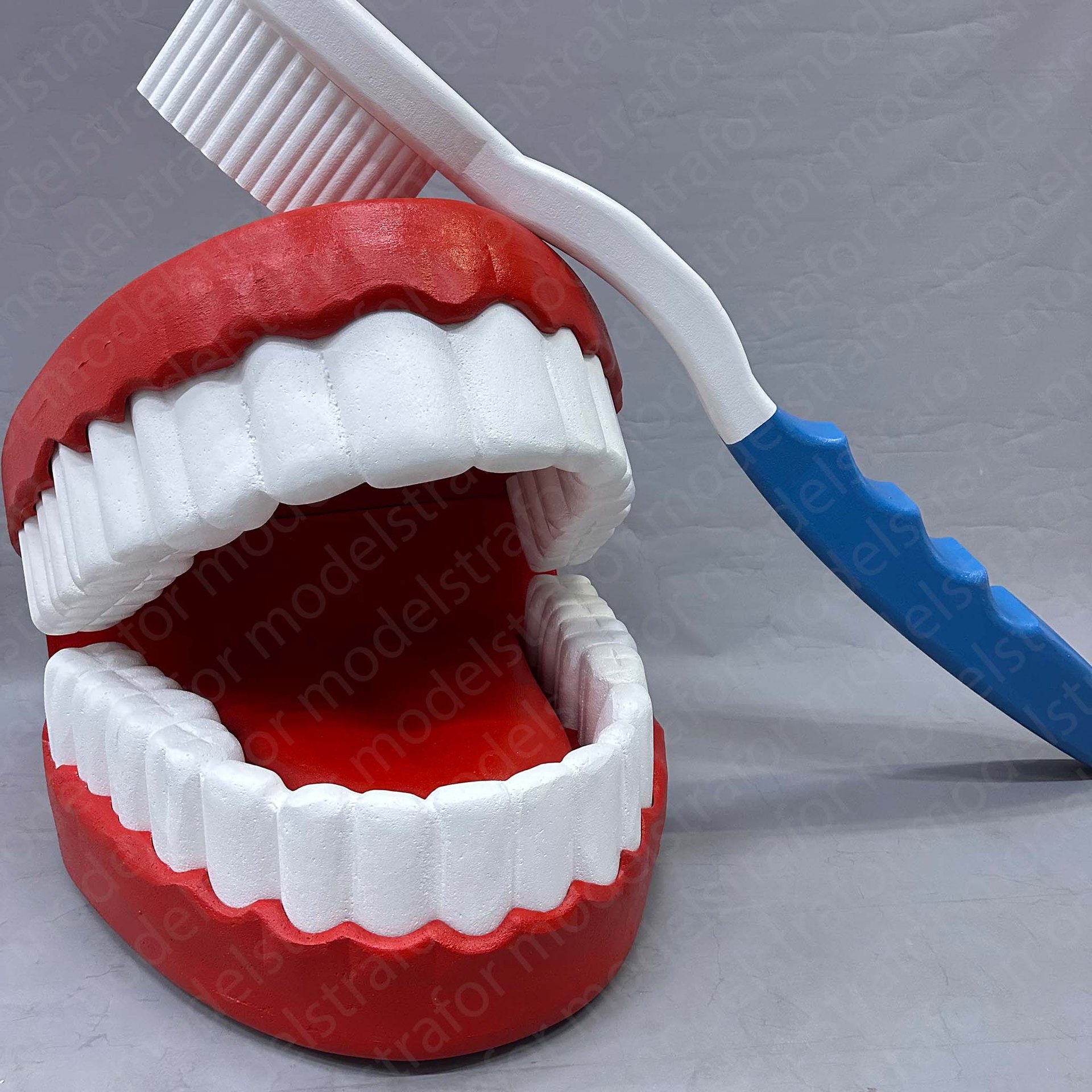 3d Strafor diş modellemesi