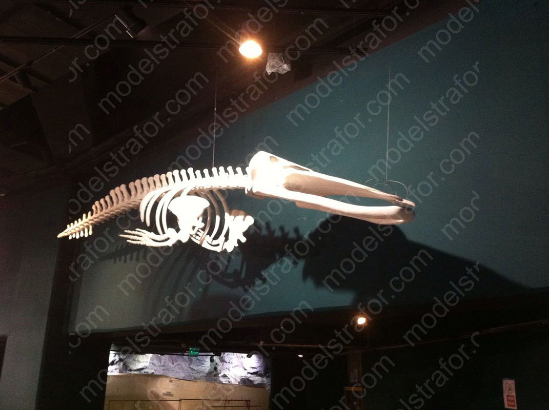 Emaar Square Akvaryum 3D Balina İskeleti Modellemesi