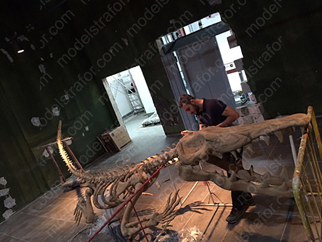 Emaar Square Akvaryum 3D Timsah İskelet Modeli